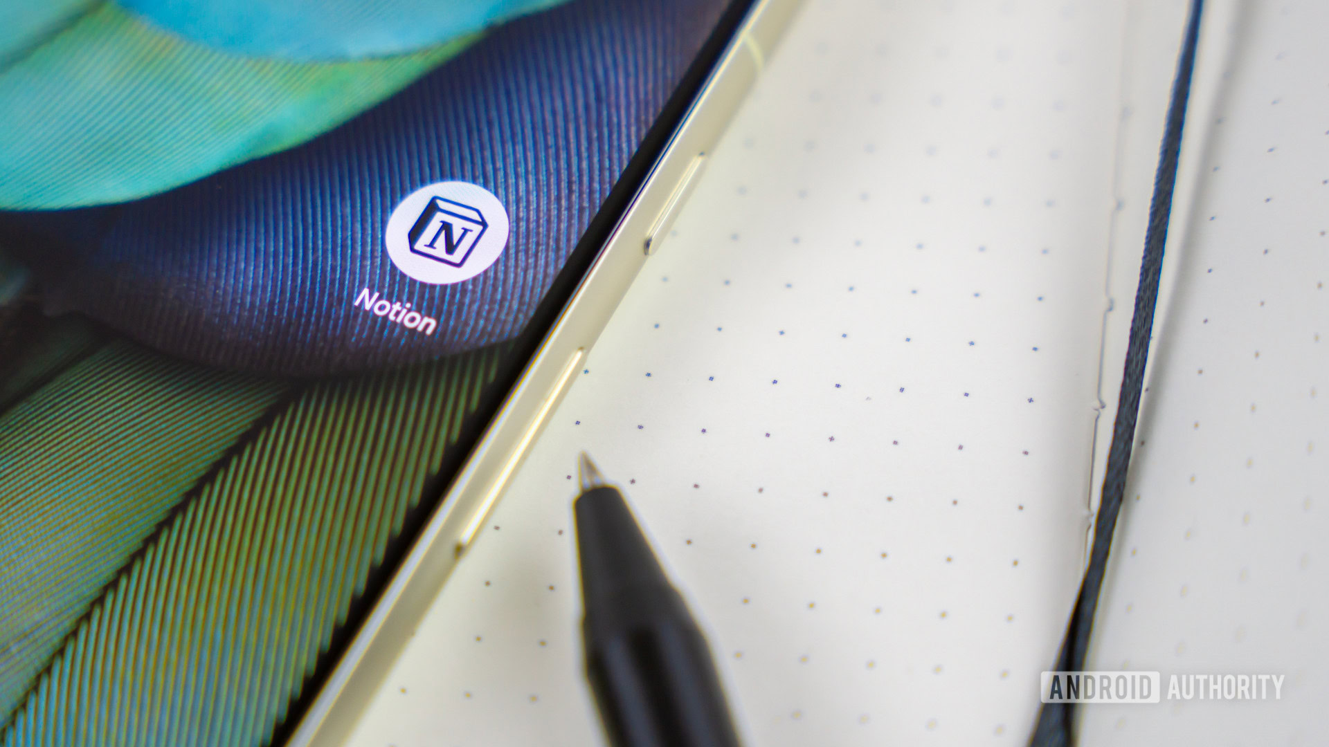 Я замінив ці 4 програми поняттям, і я просто починаю